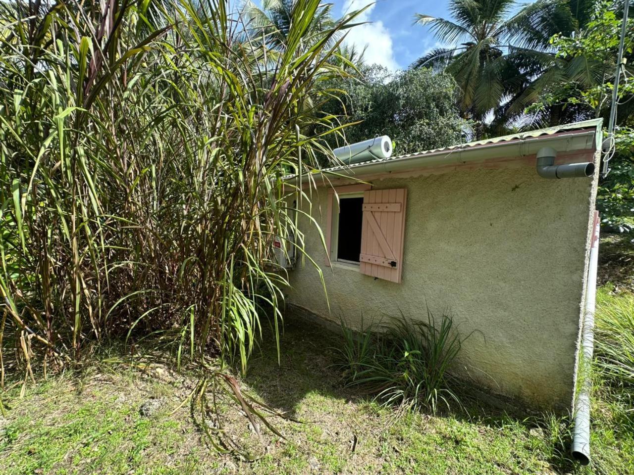 Vila Gwada Reves Sainte-Anne  Exteriér fotografie