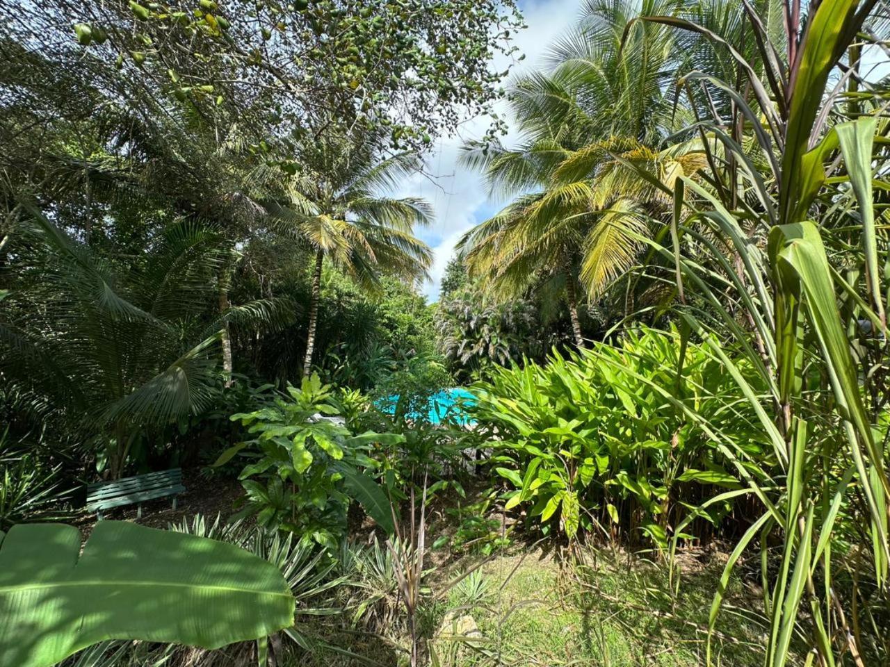 Vila Gwada Reves Sainte-Anne  Exteriér fotografie