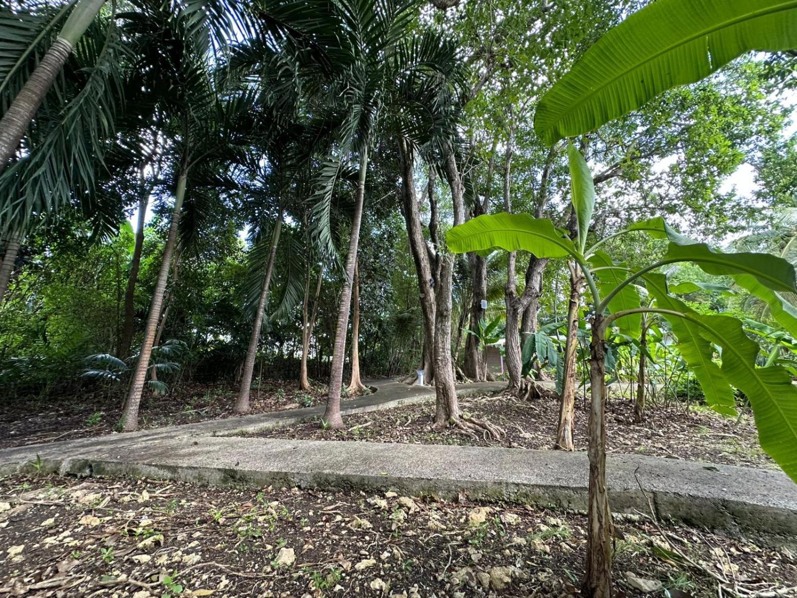 Vila Gwada Reves Sainte-Anne  Exteriér fotografie