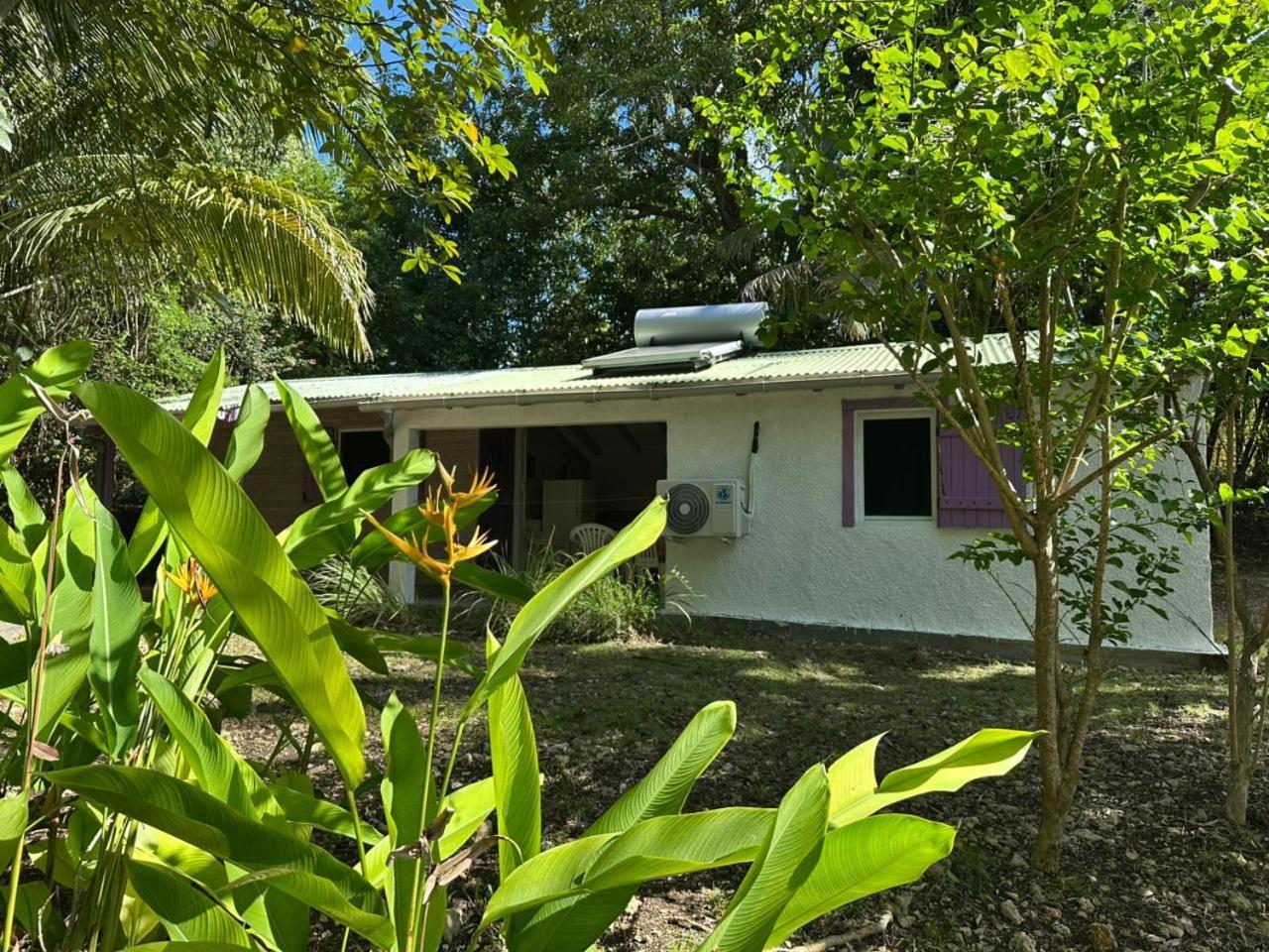 Vila Gwada Reves Sainte-Anne  Exteriér fotografie