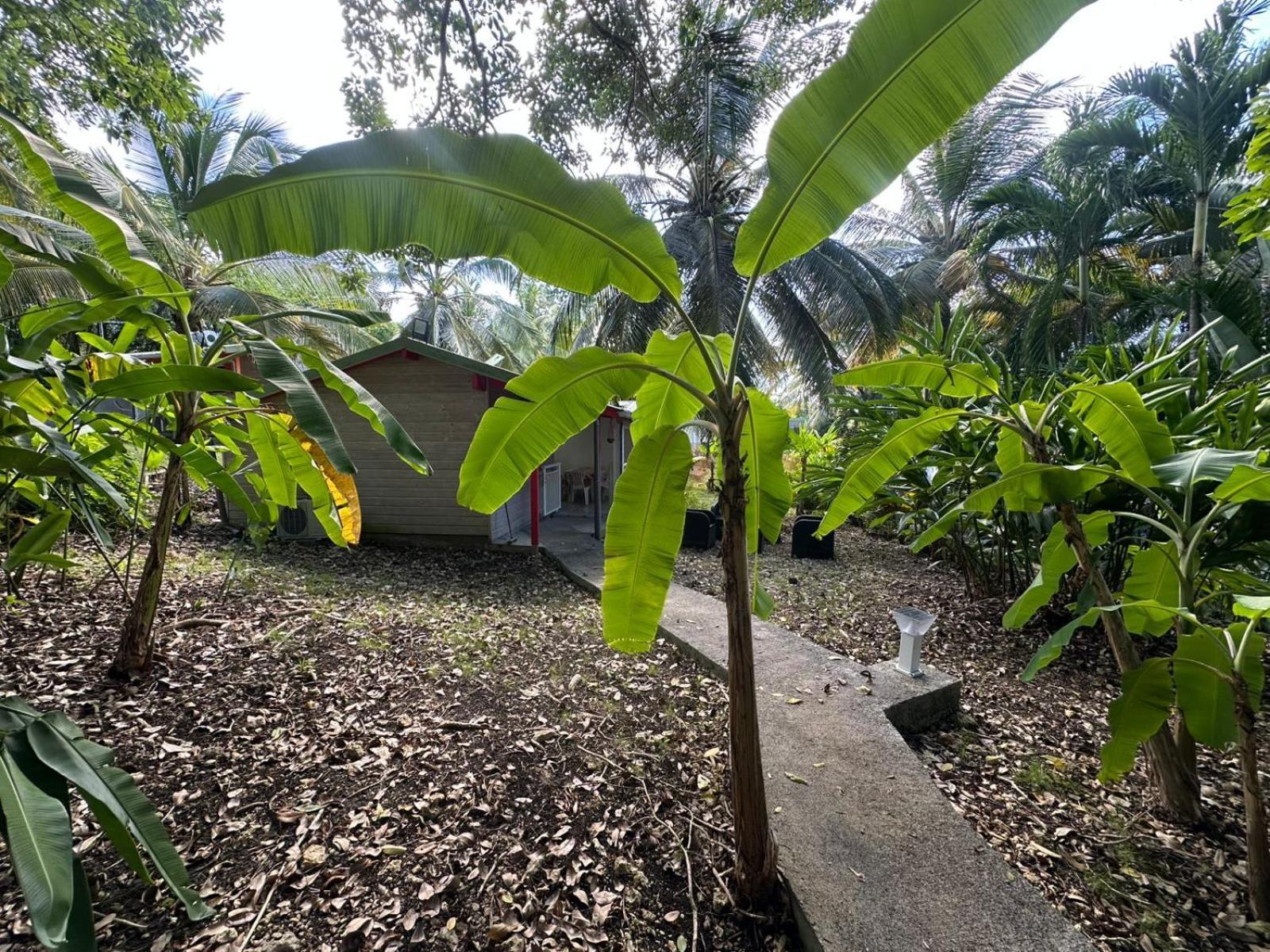 Vila Gwada Reves Sainte-Anne  Exteriér fotografie